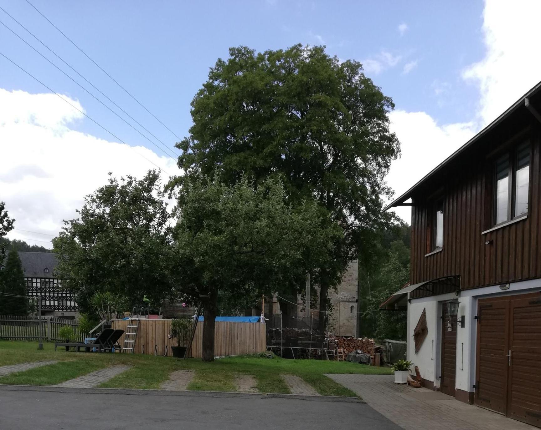 Fewo an der Klosterruine Paulinzella Exterior foto